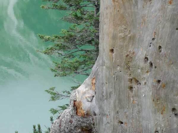 Die Zeit fordert uns heraus!