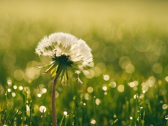 Frühling bedeutet Aufbruchstimmung!