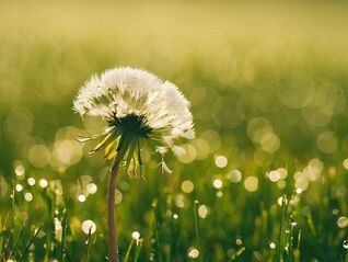 Frühling bedeutet Aufbruchstimmung!