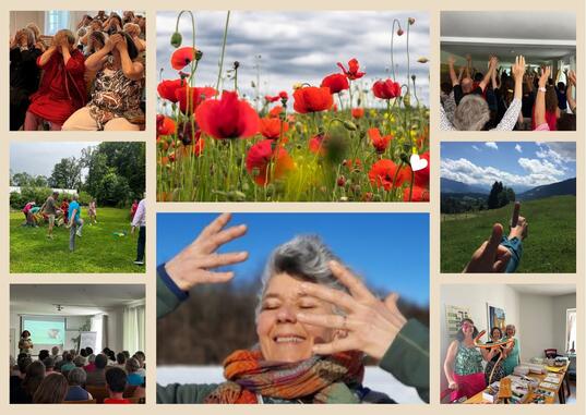 Lebendiges Sehen - feinere Wahrnehmung